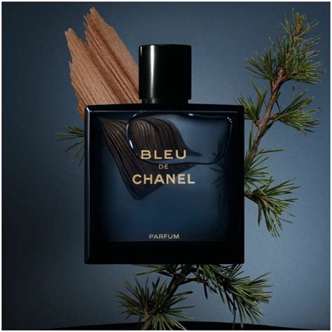 chanel de blie|bleu chanel fragrantica.